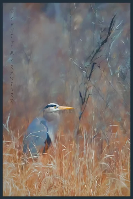 great.blue.heron.paint.signed_DSC0793.jpg