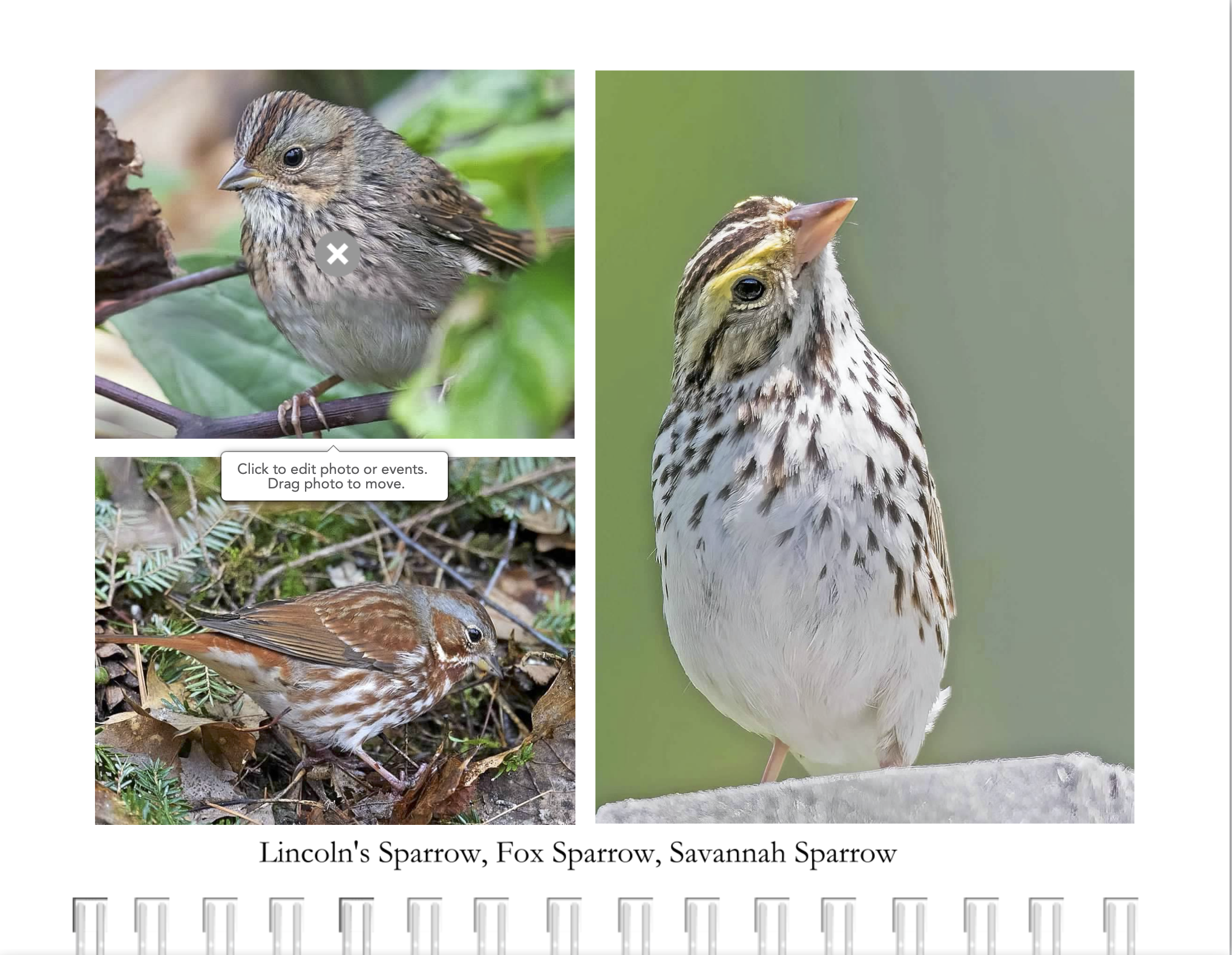 Screen Shot 2022-11-24 at 6.52.49 AM.png