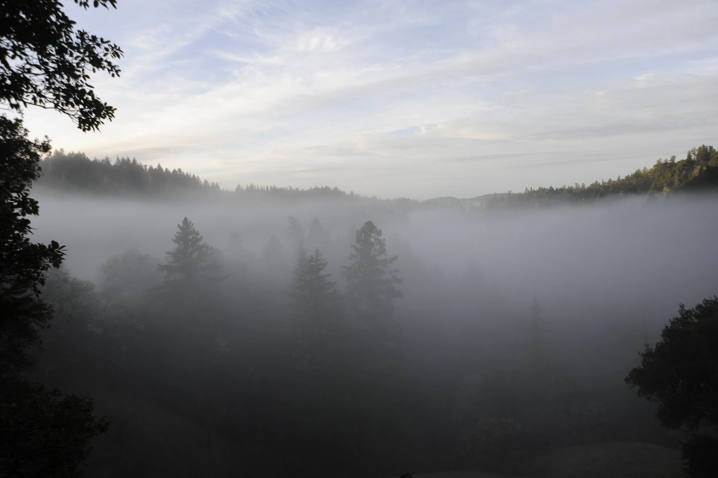  Anderson Valley Land Trust 