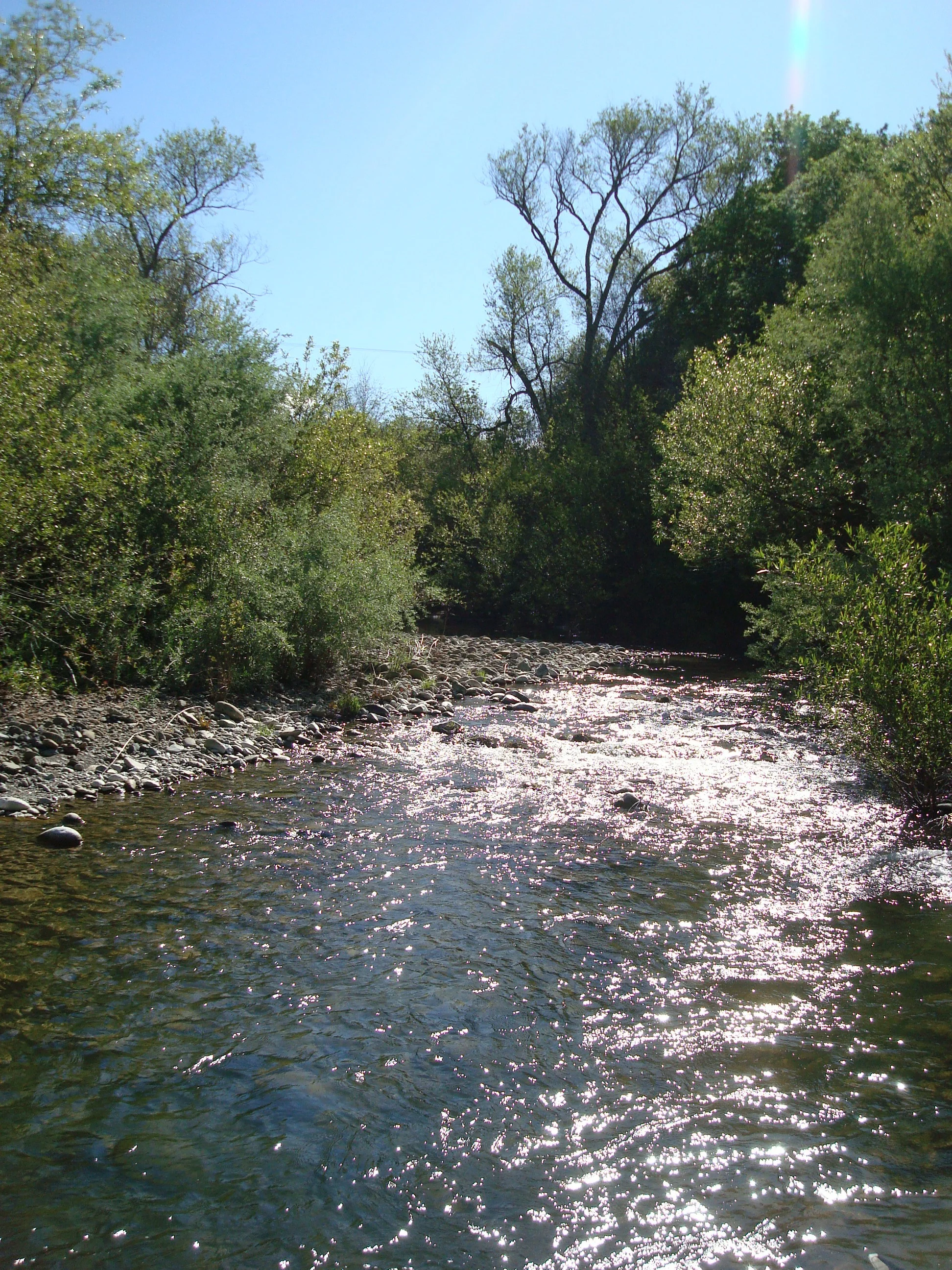  Navarro River Resource Center 