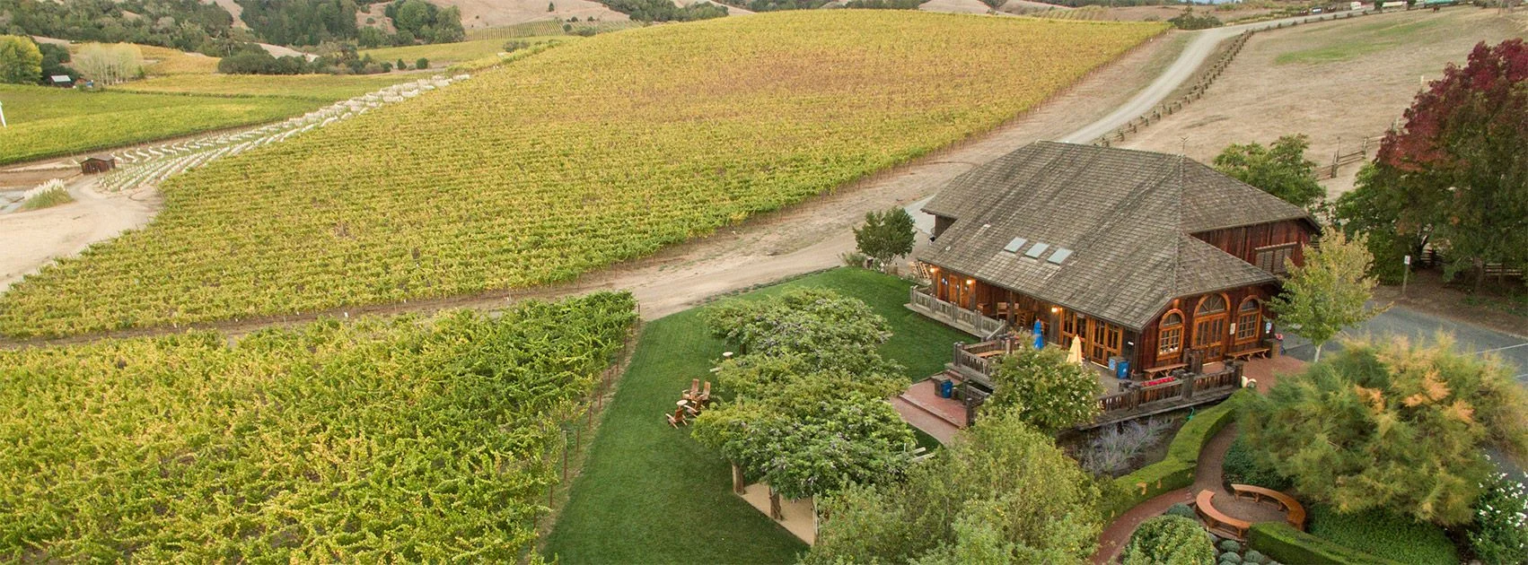 the Navarro Vineyards tasting room sits among vineyards