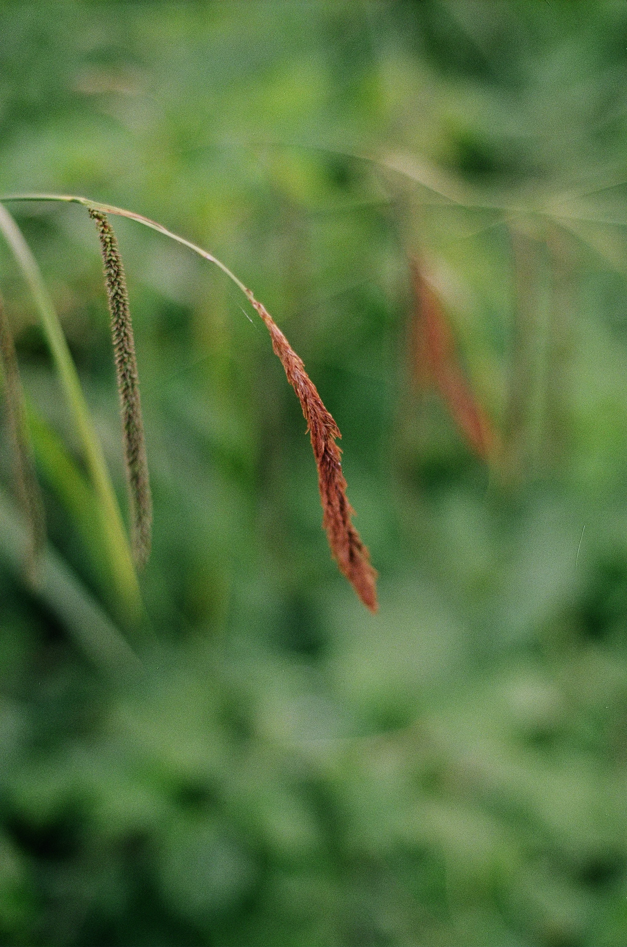 60130020.JPG