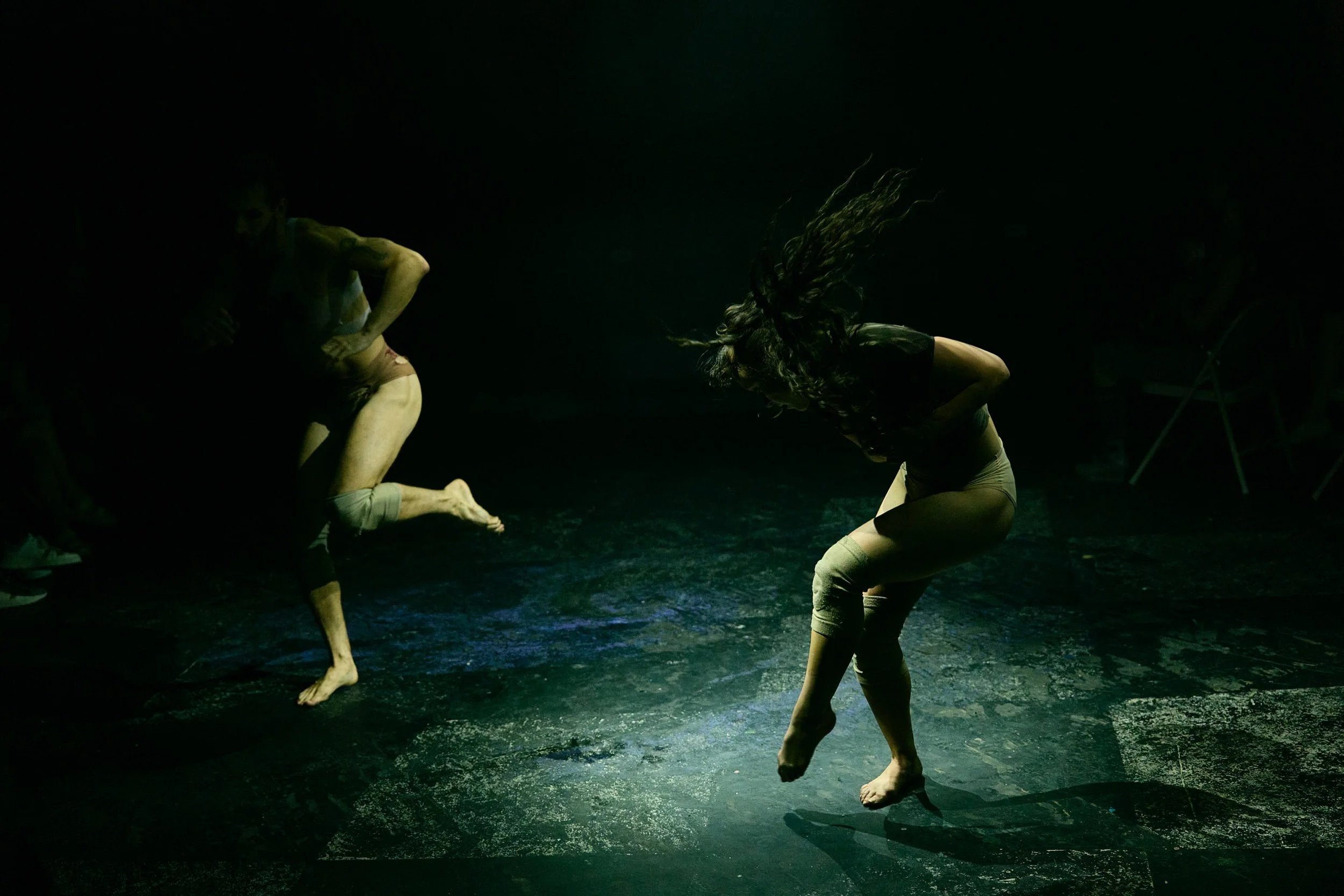Precipice_dance_dutchd 523.jpeg