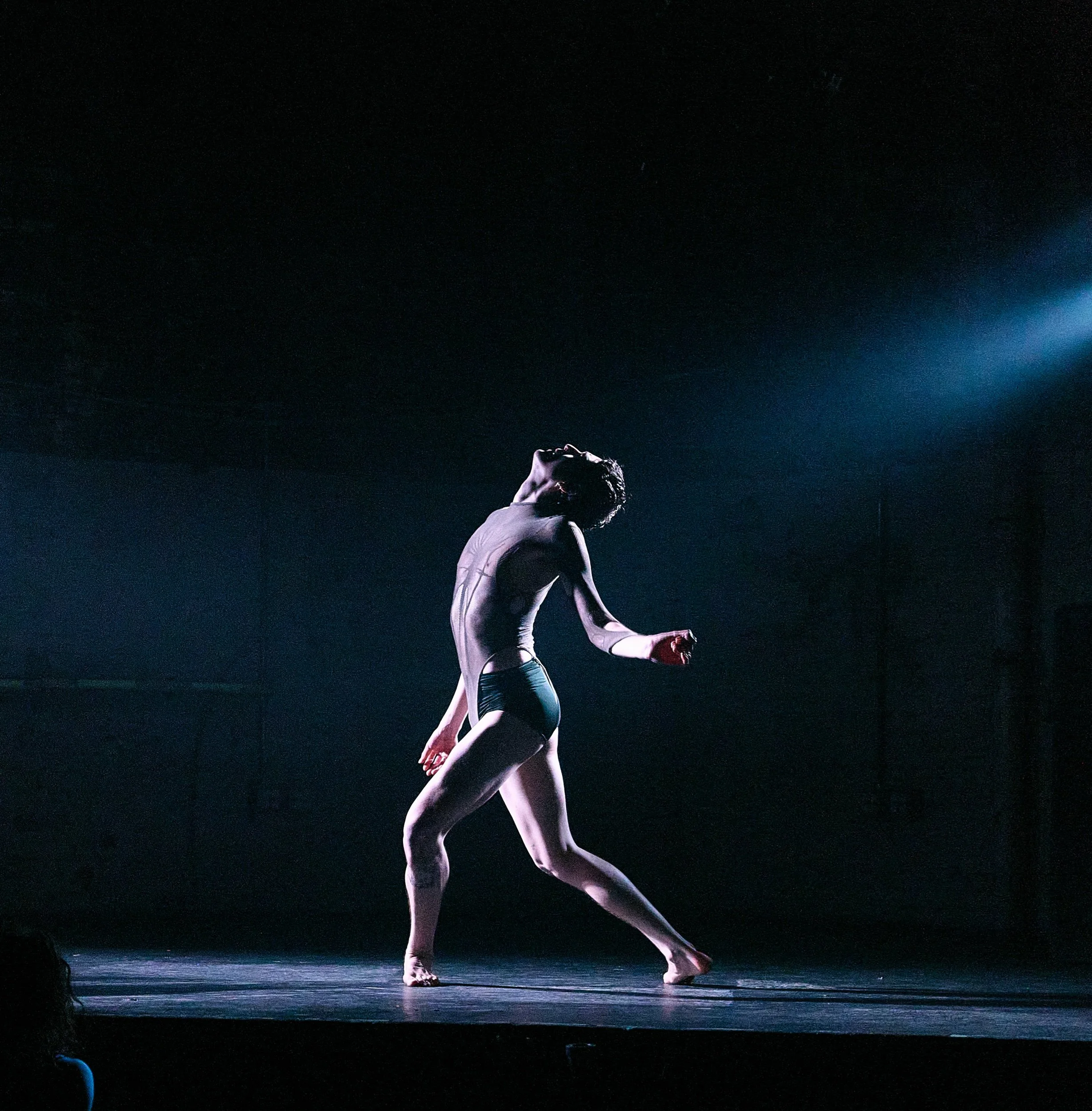 Precipice_dance_dutchd 388.jpeg