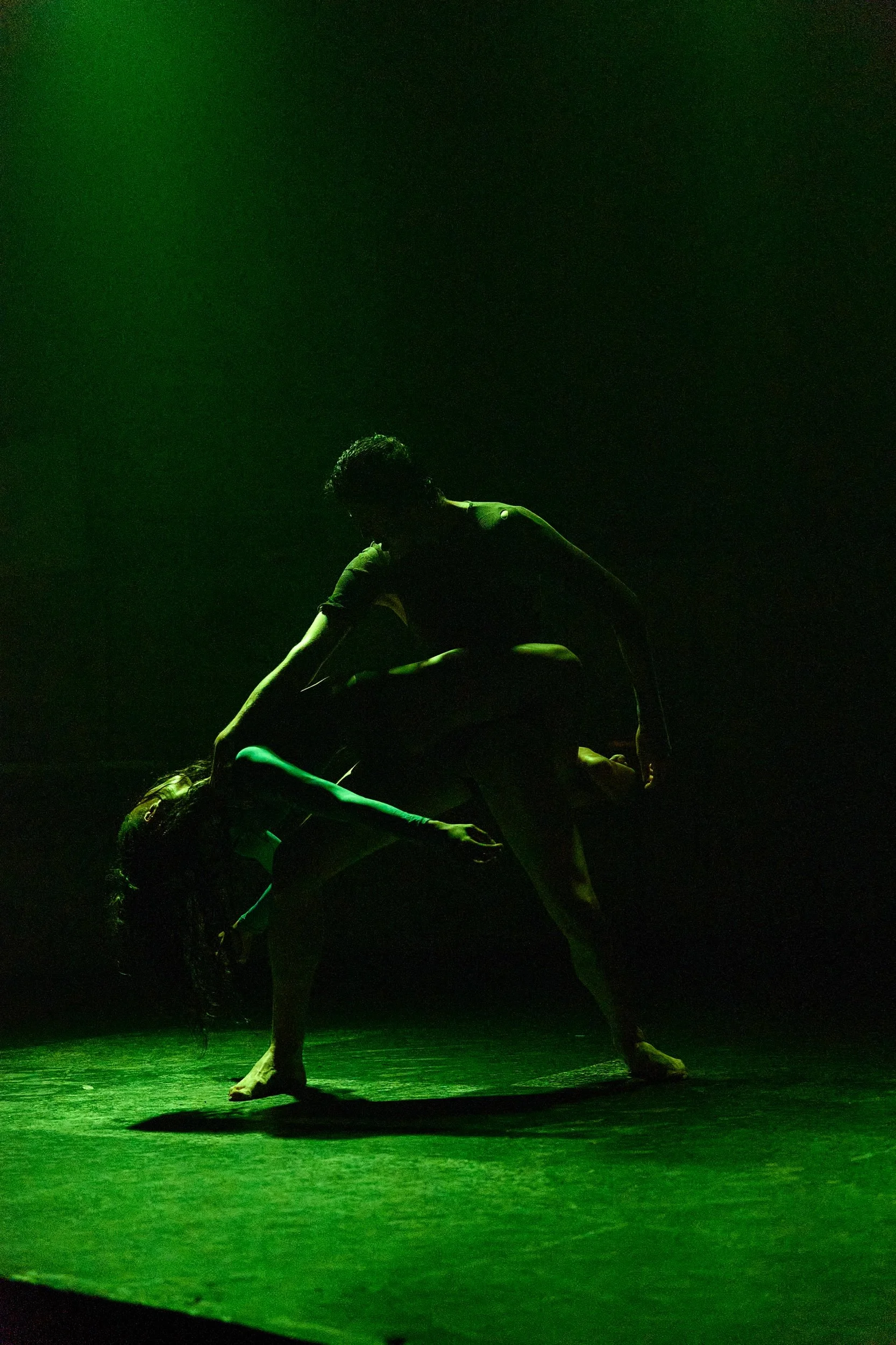 Precipice_dance_dutchd 592.jpeg