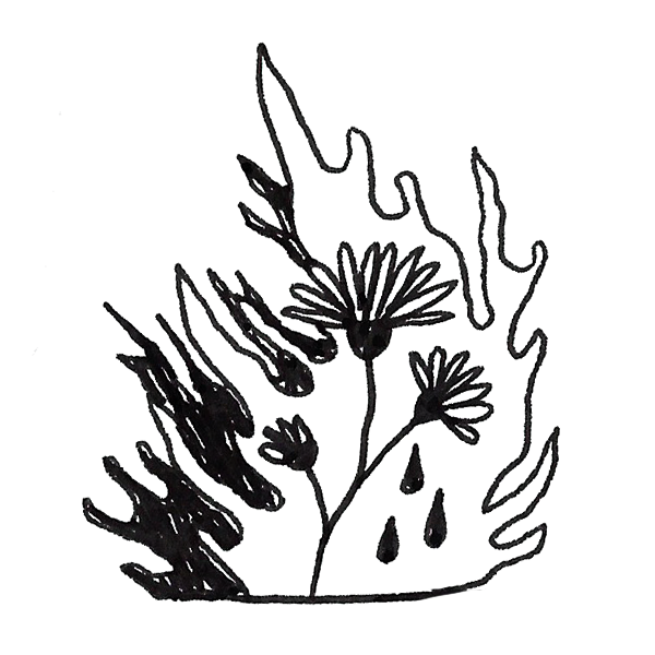 fire.png