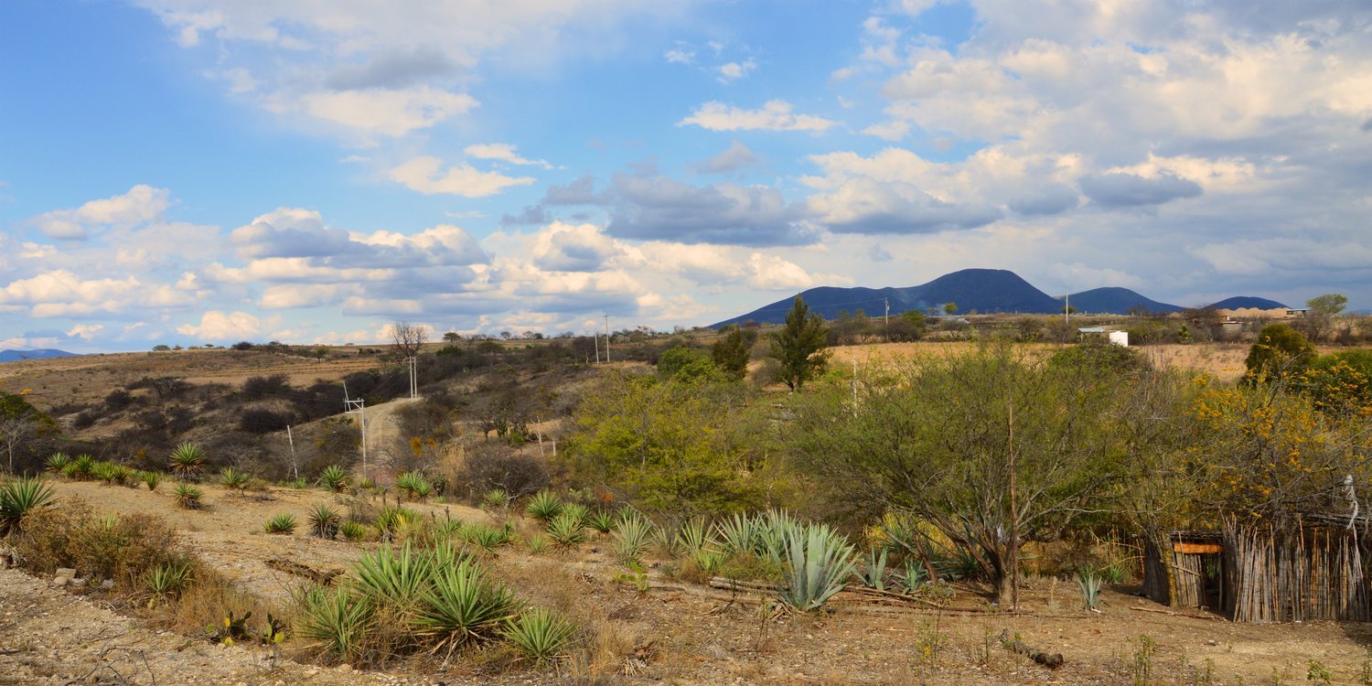 Nanche, Miahuatlán