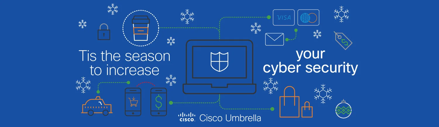 25_Days_Security_Diagram_Blue.jpg