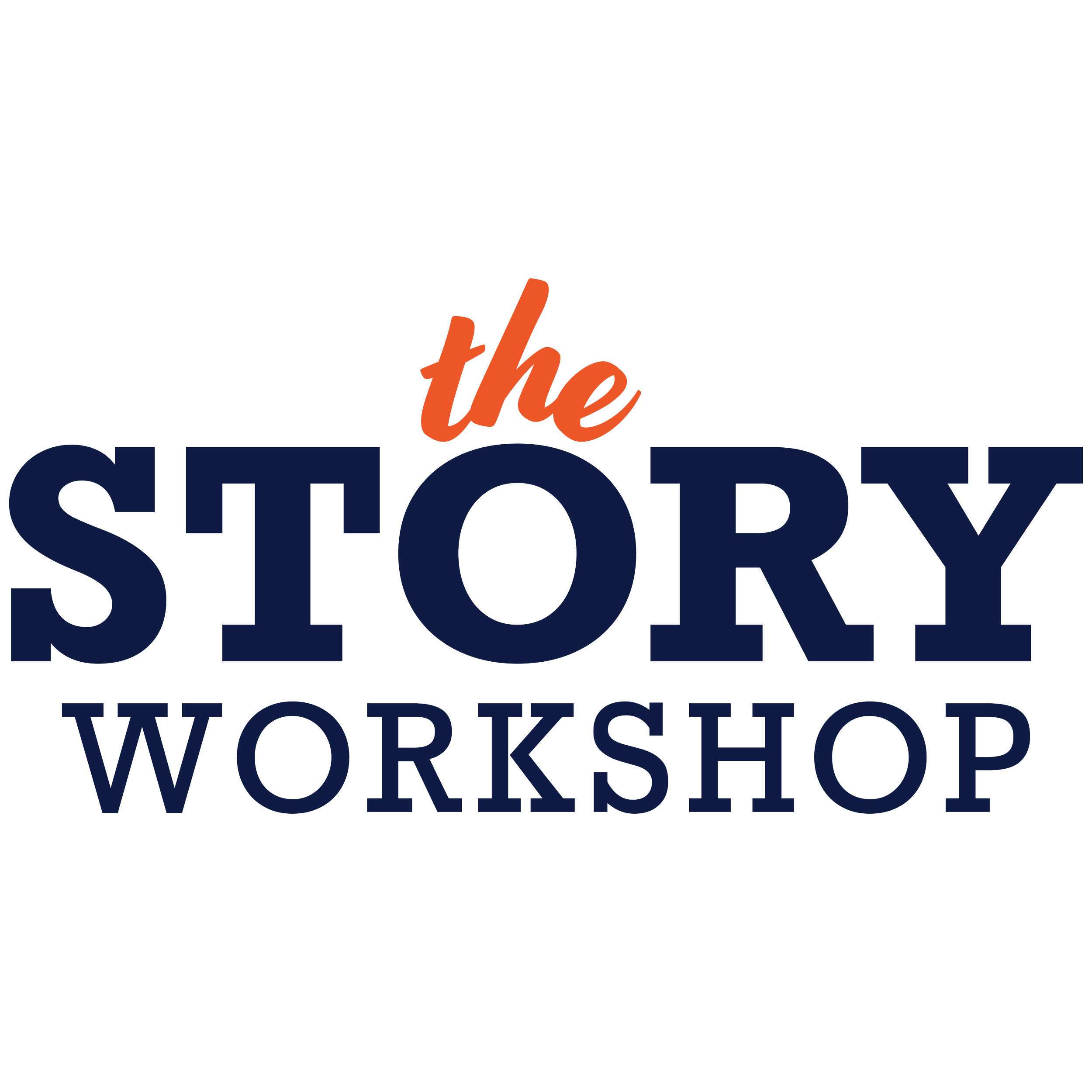 The Story Workshop