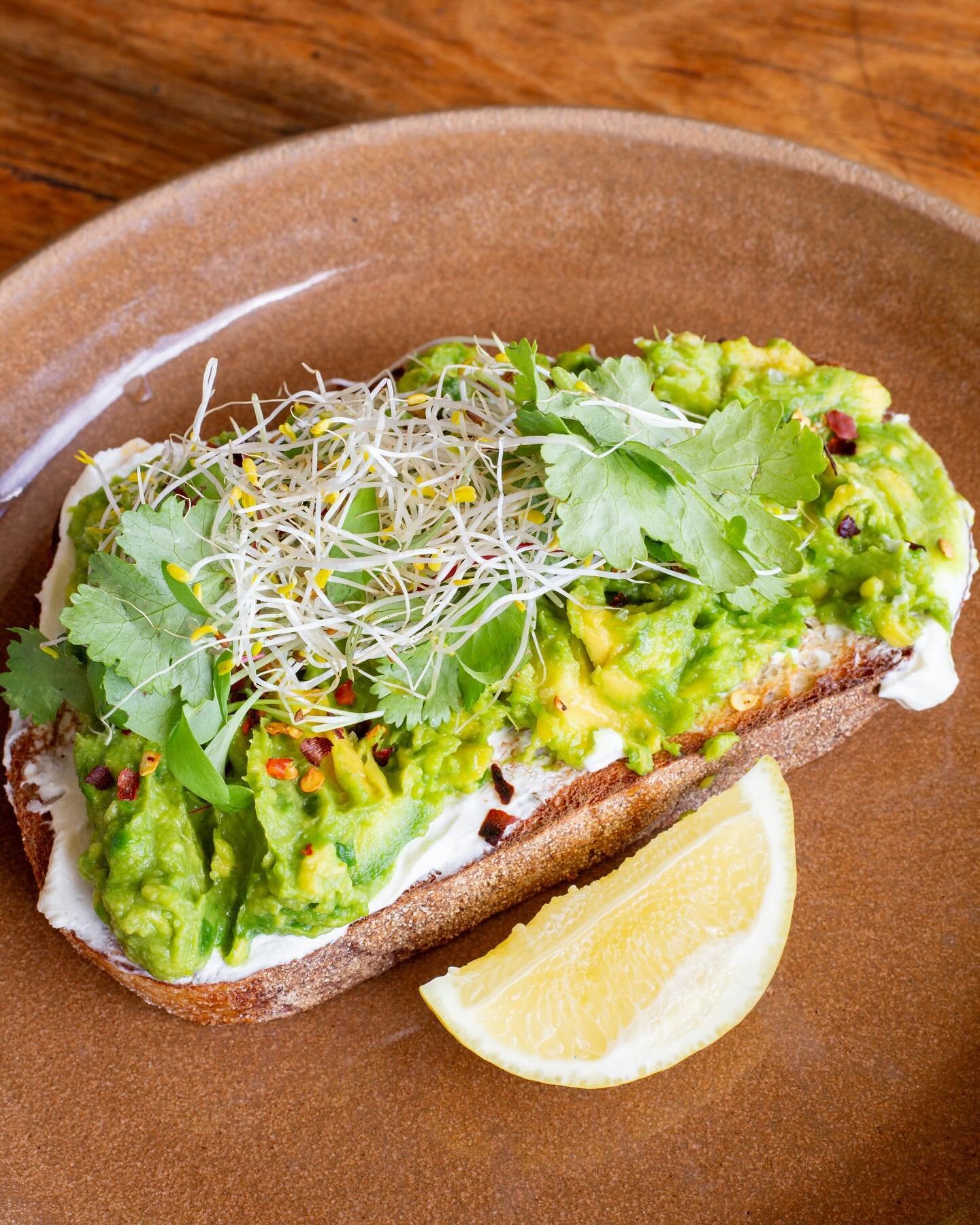 Avocado lovers, unite! 🥑 Get ready to kick off the day with our Chunky Avocado! Topped with a fiery kick of chili flakes, velvety house made Persian feta, zesty coriander, and fresh sprouts 🔥✨ 

And if you&rsquo;re in a hurry, head to the link in o