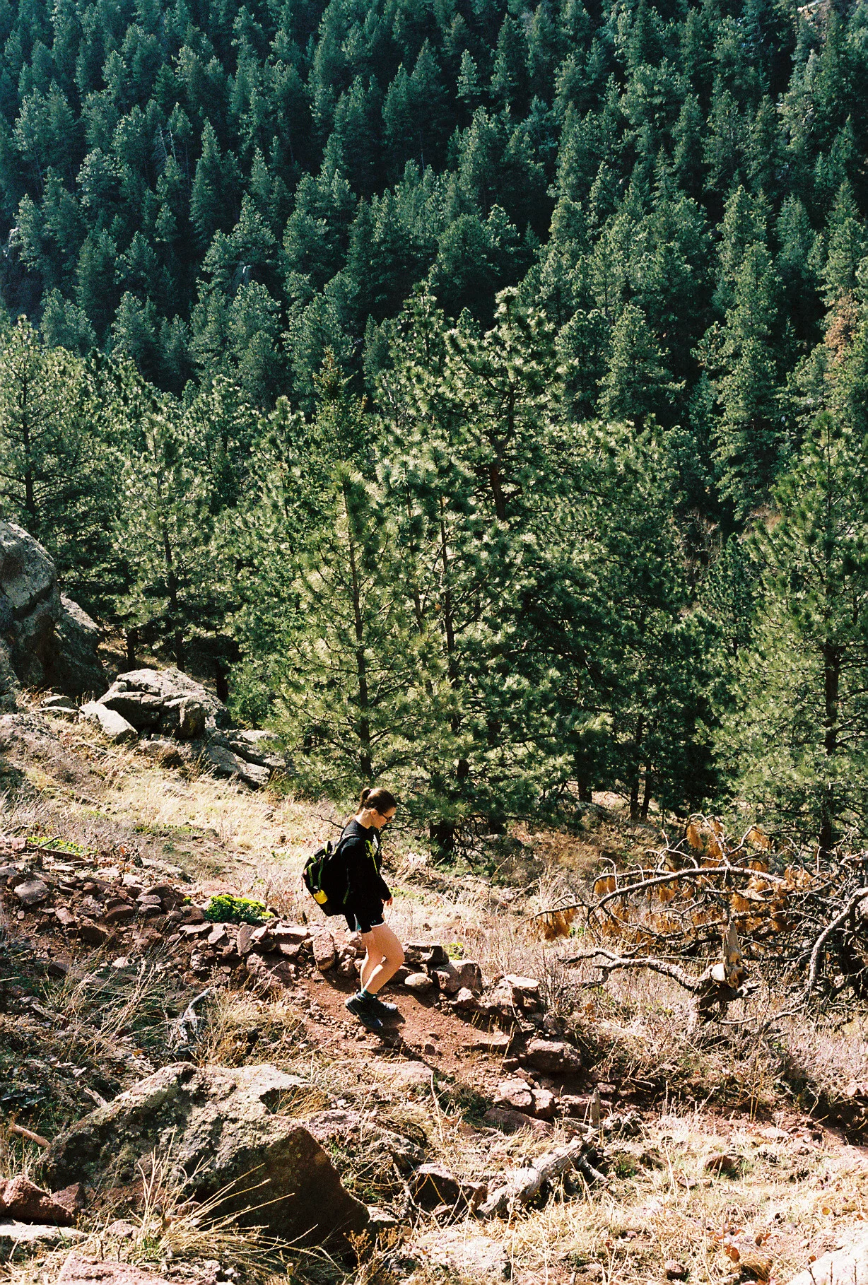 Patra008183-R1-055-26.jpg