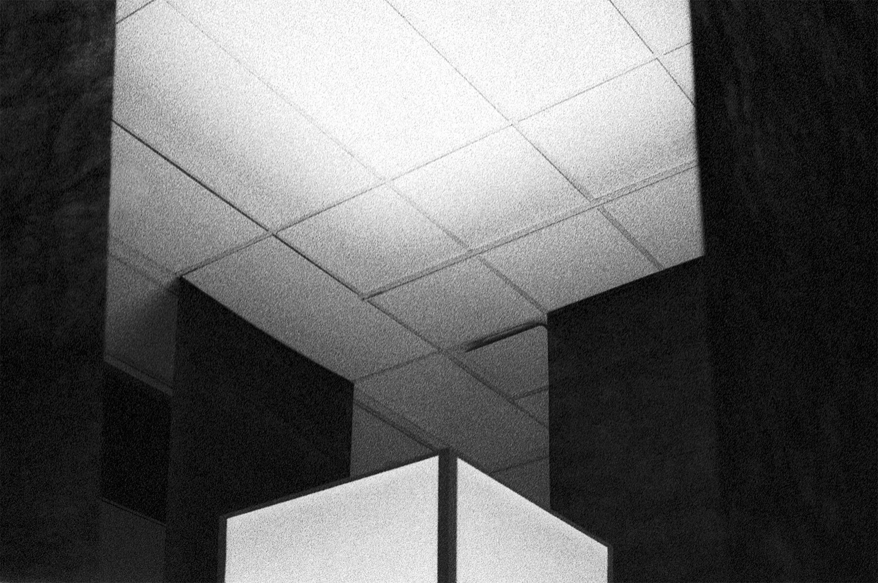 everything is somehow preserved_17.jpg