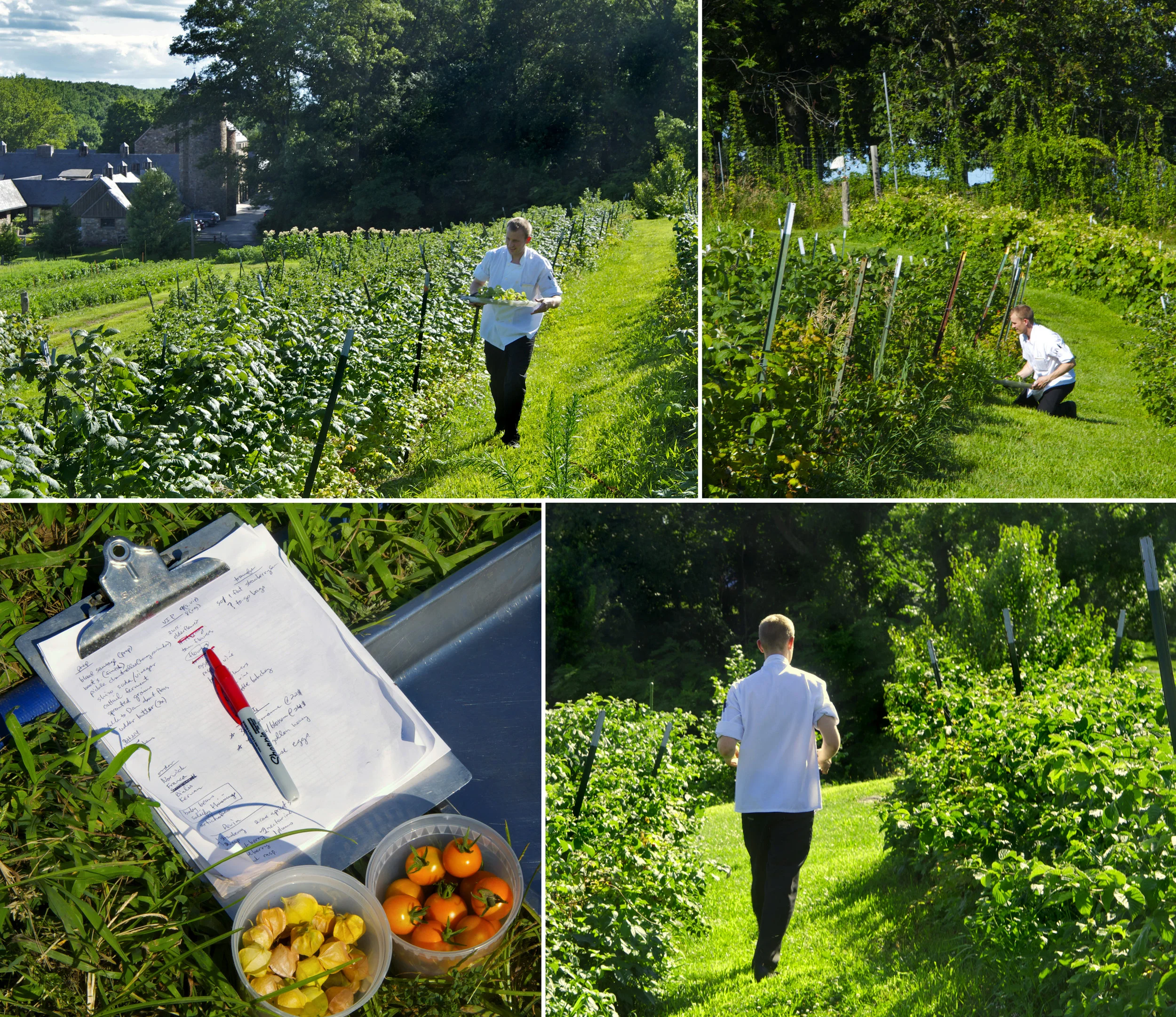 Blue Hill Farm at Stone Barns © Donna Turner Ruhlman