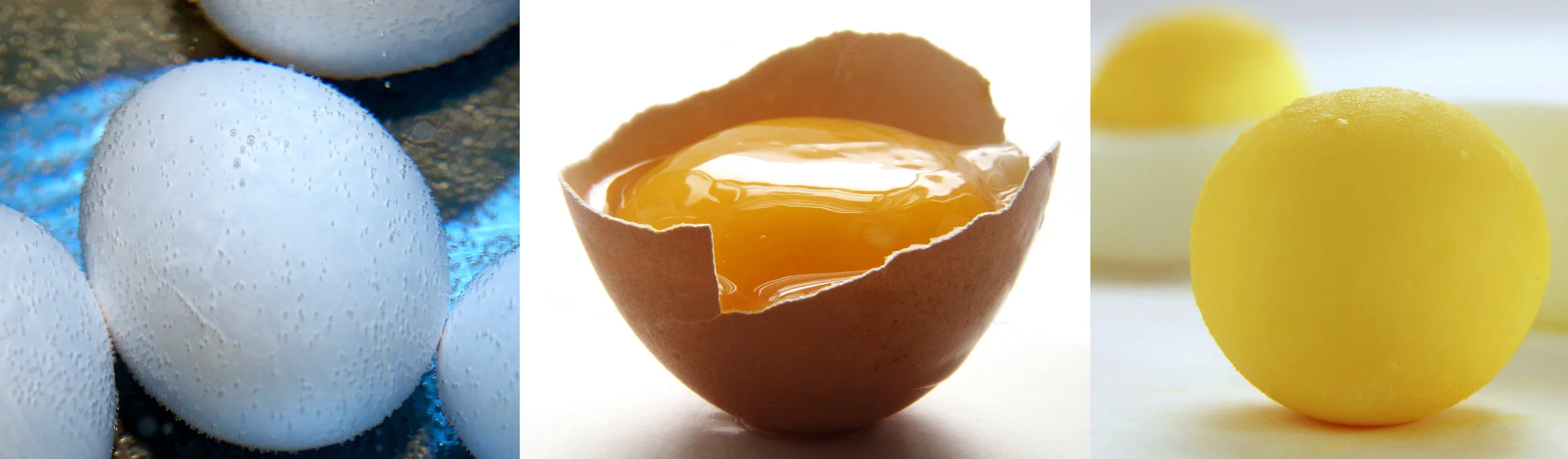 Eggs X3.jpg