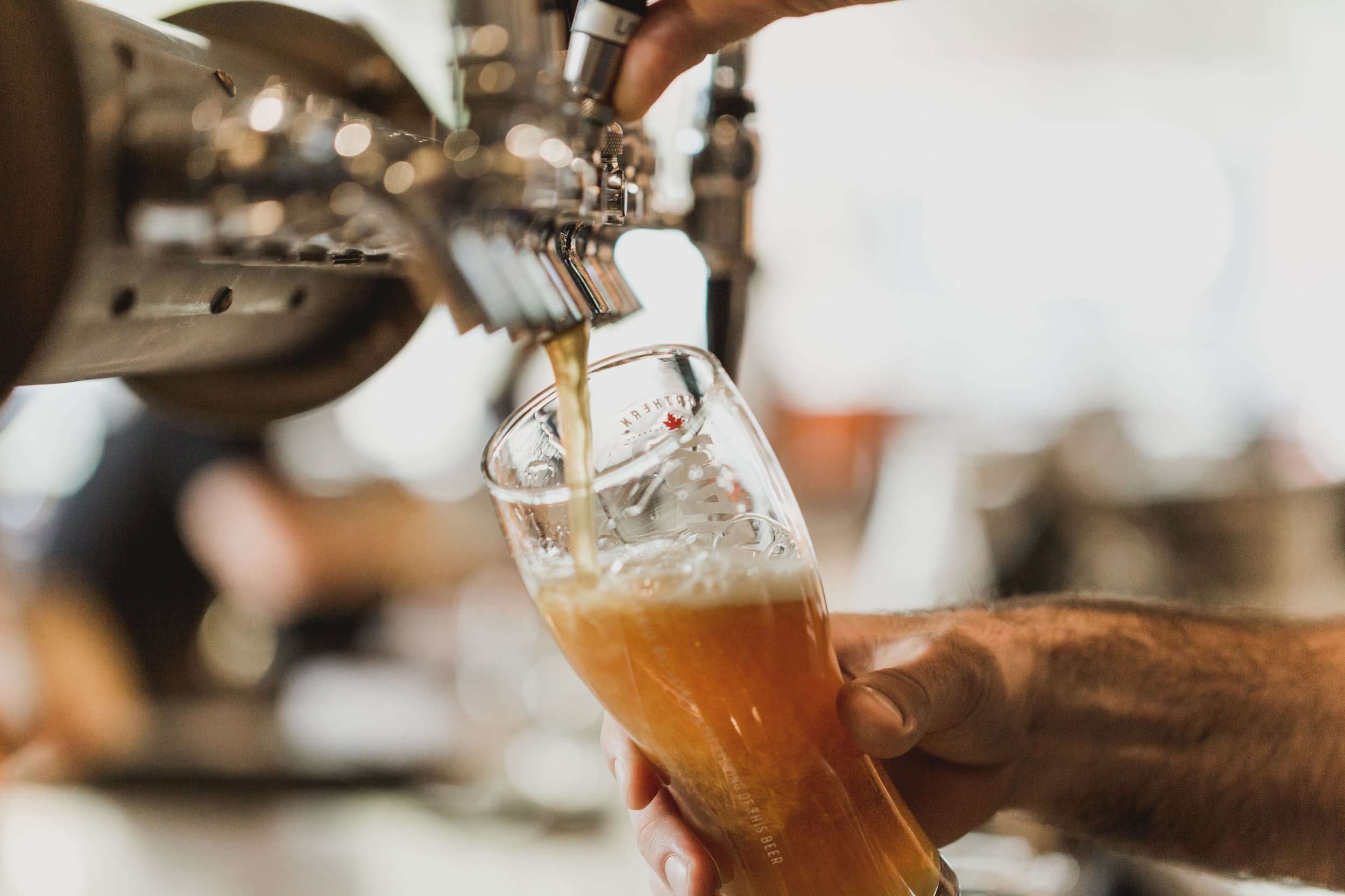 Stock Image - Pouring pint of beer.jpg