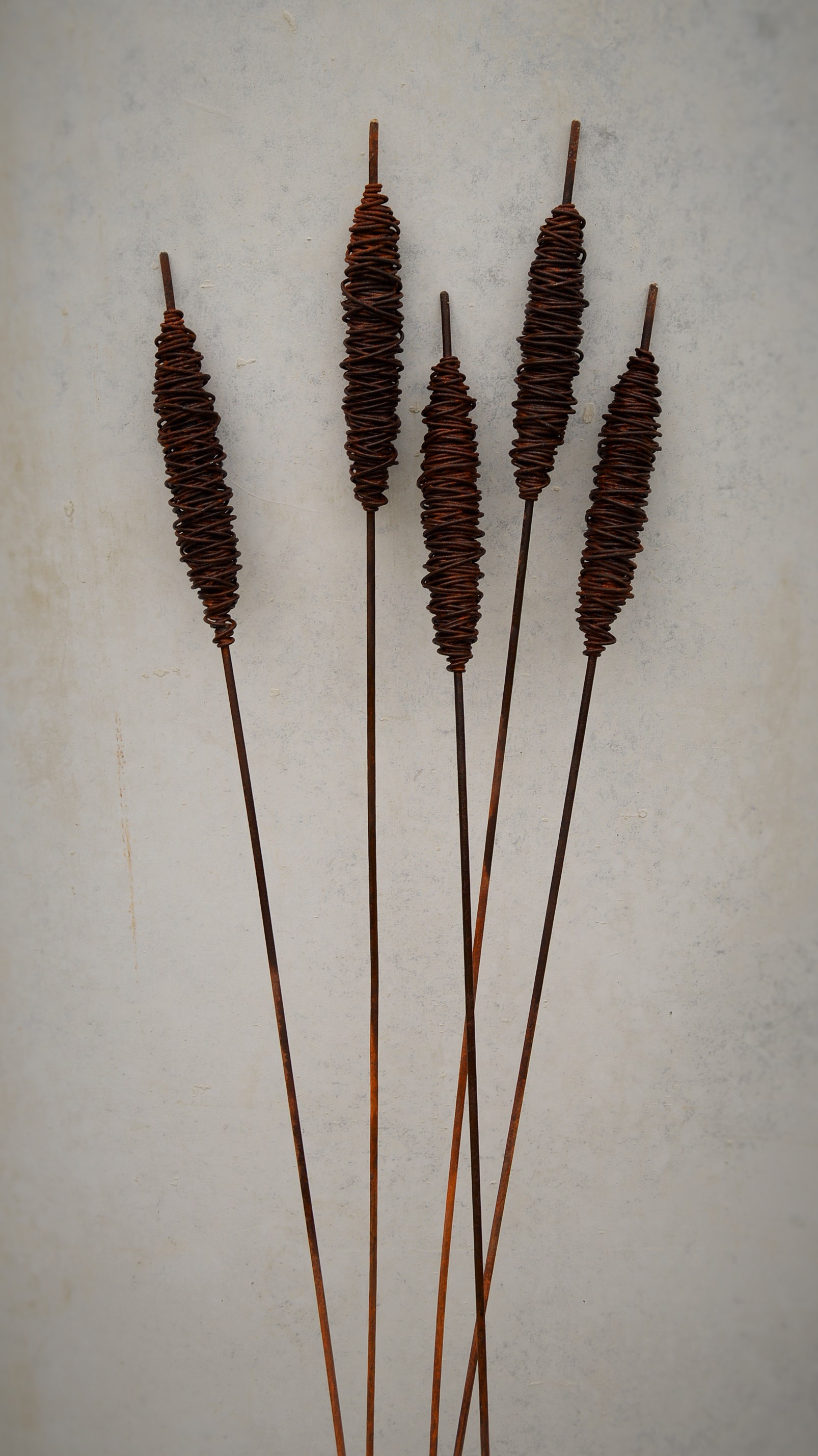 bulrushes II.JPG