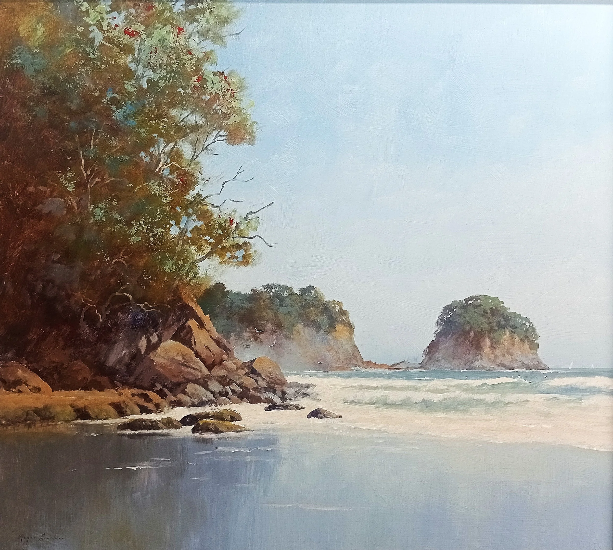 Whiritoa Summer