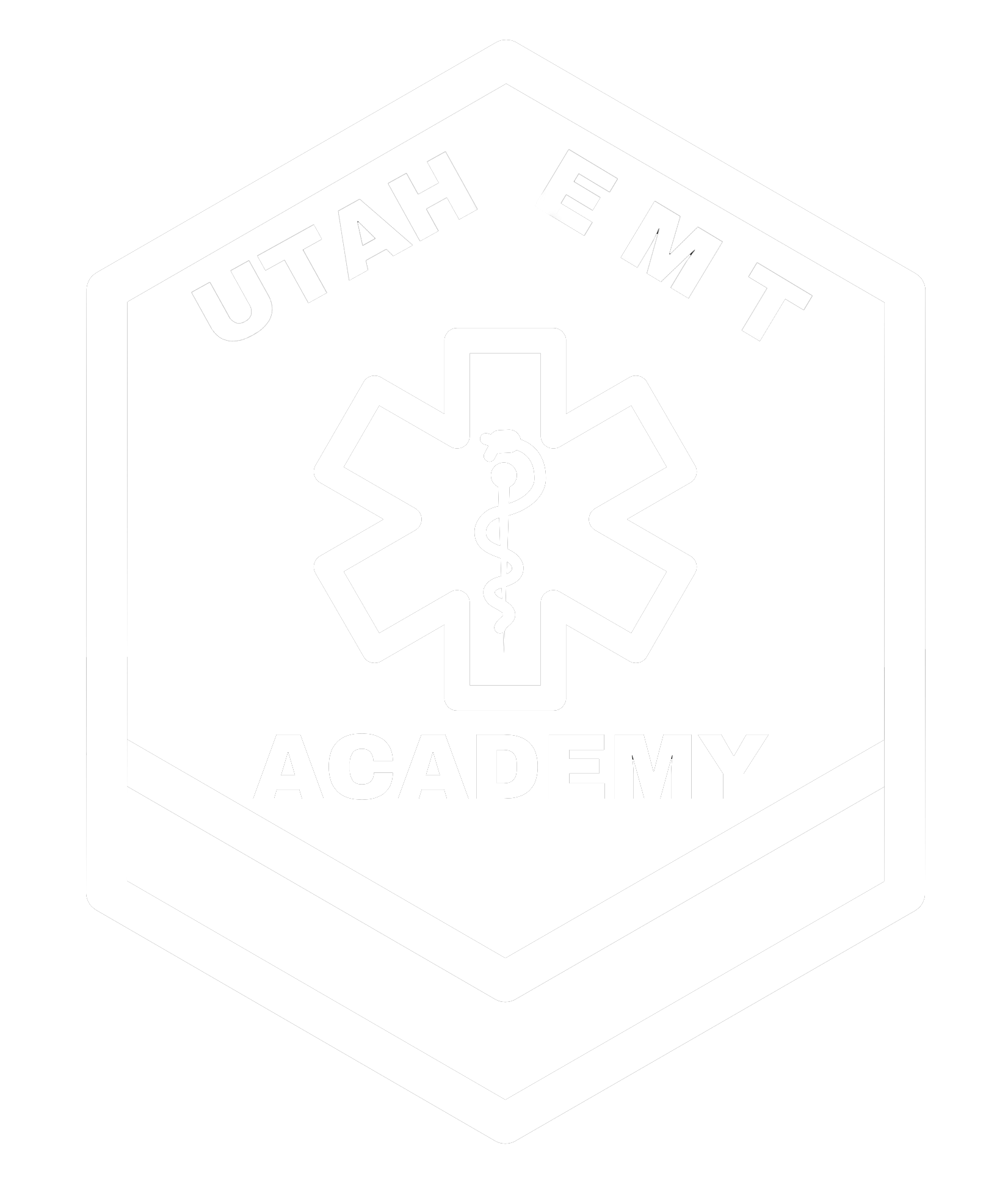 Medical Task Force white.png
