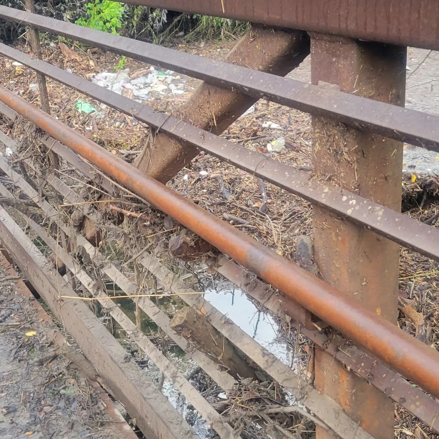 A soggy, muddy walk by the creek back home. The floodwaters have receded somewhat, revealing a logjam of debris and trash clogging the bridge. It always makes me sad to see how badly we treat Mother Earth.