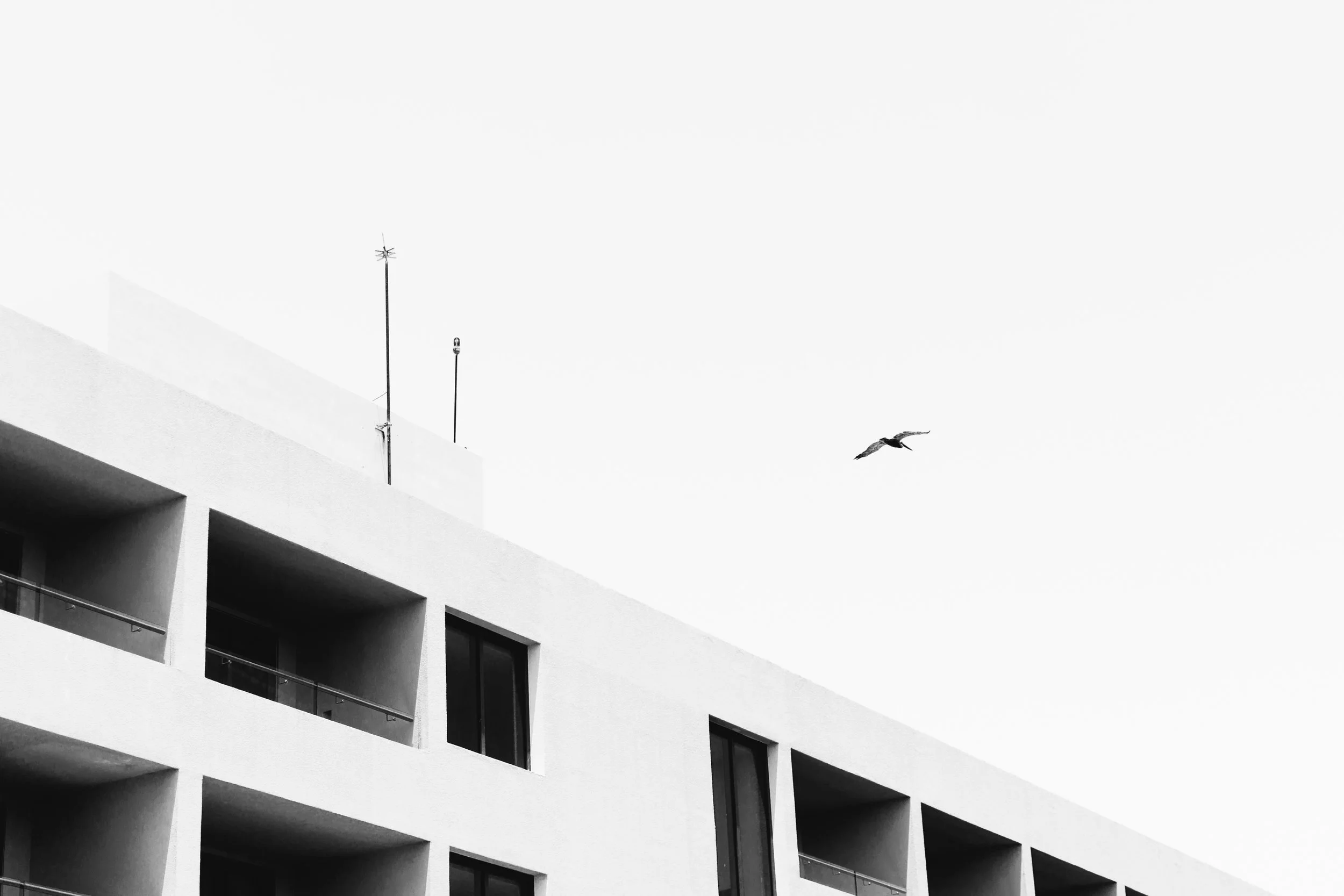 nicholas-santoianni-940718-unsplash.jpg