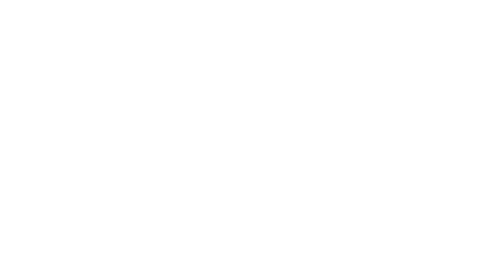Peace Innovation Institute 