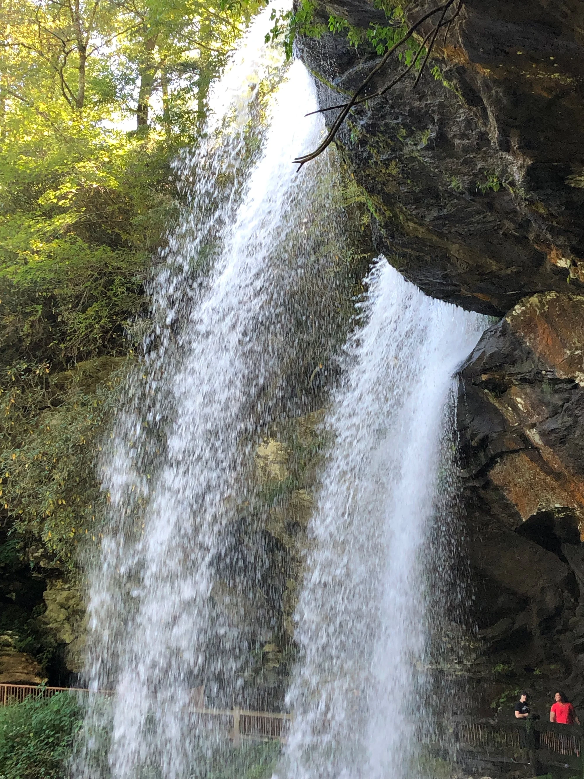 A view behind Dry Falls, NC.