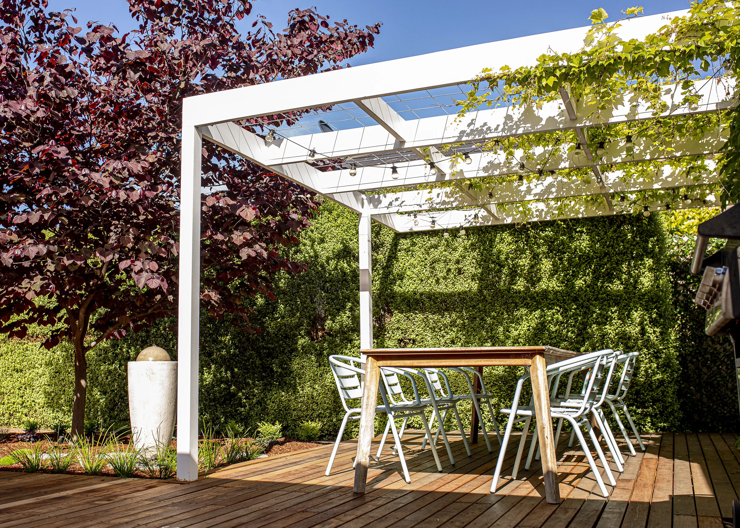 Modern Courtyard Garden