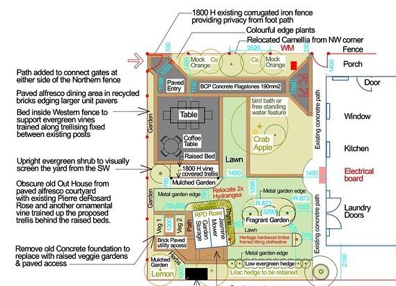 From little things, big things grow. Landscape Concept to Master plan after reviewing and refining. #landscapedesign #plantselection #coldclimateplants #courtyard-garden #orangensw