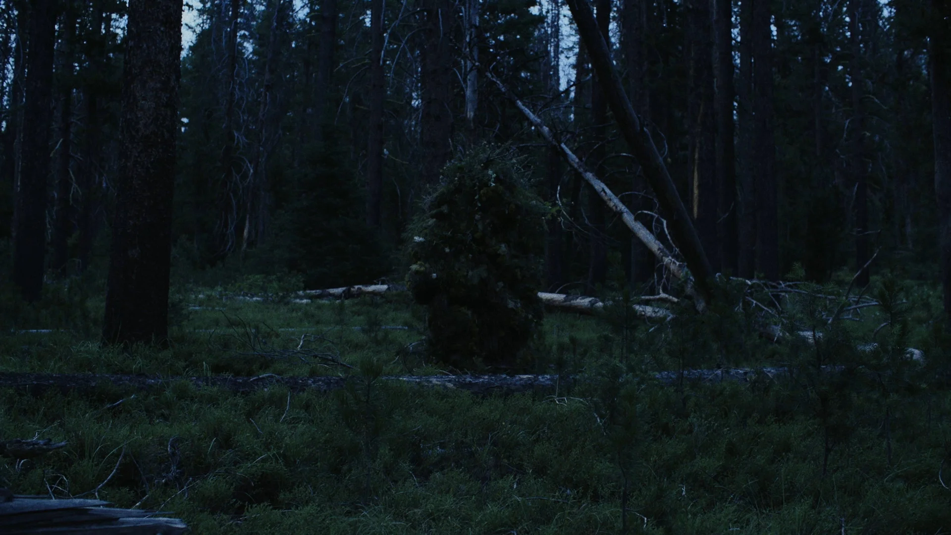 Untitled_1.1.9.jpg