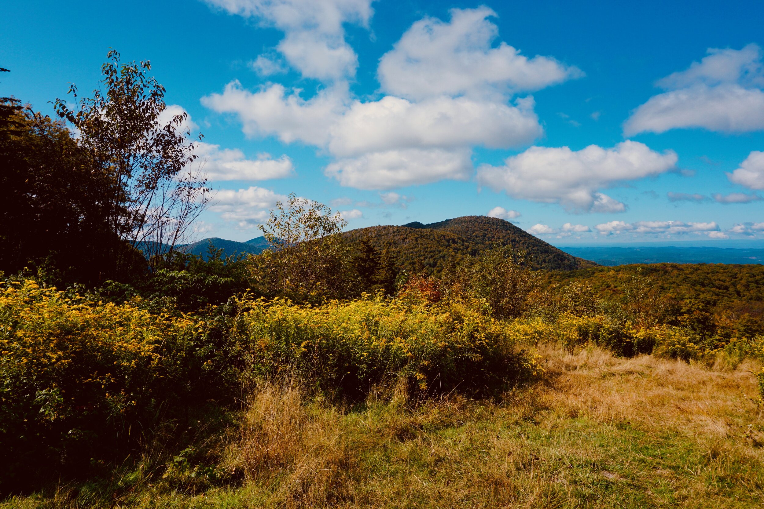 Photos by Sarah Krinsky at Viewpoint Cabin, Merck Forest and Farmland Center, Rupert VT