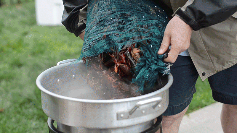 crawfish boil