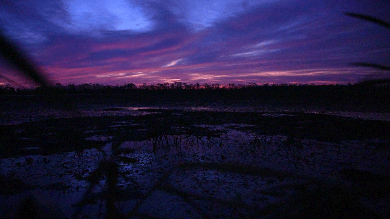 6-sunrise_800.gif