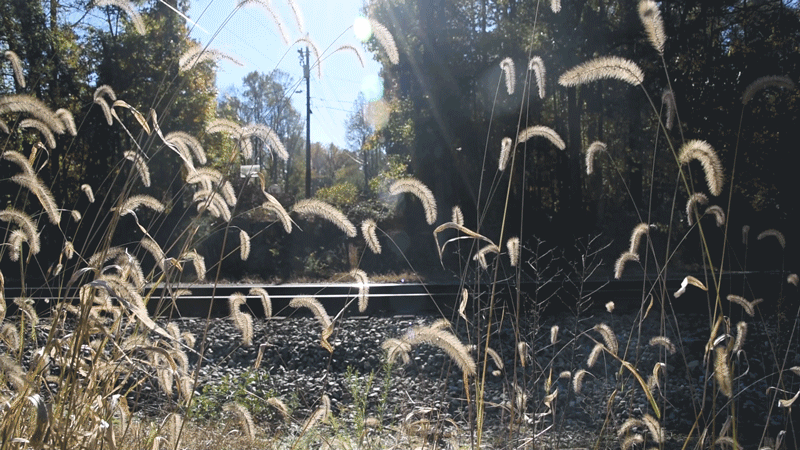 15-train-tracks_800.gif