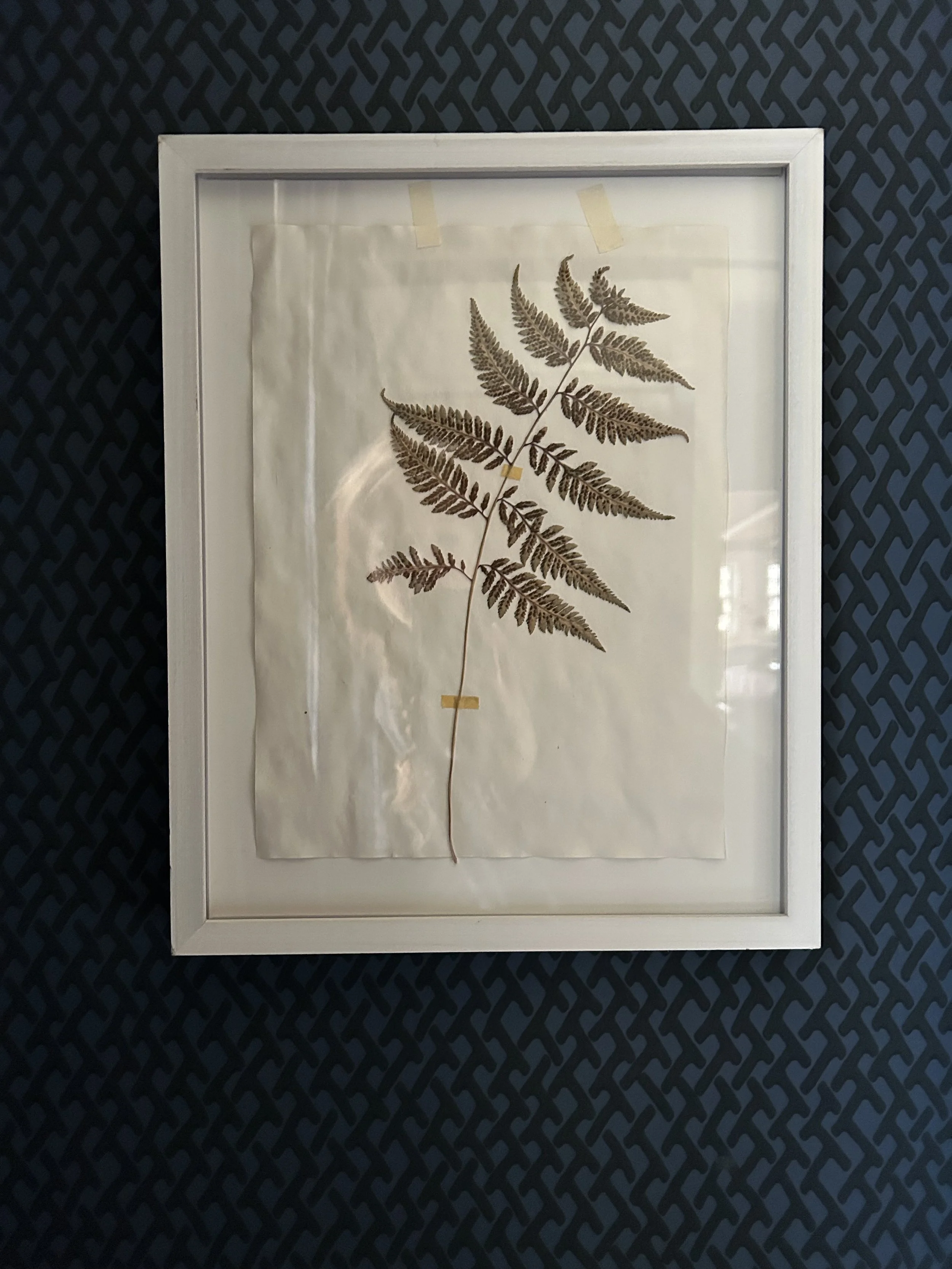 Christmas Fern Pressed Botanical
