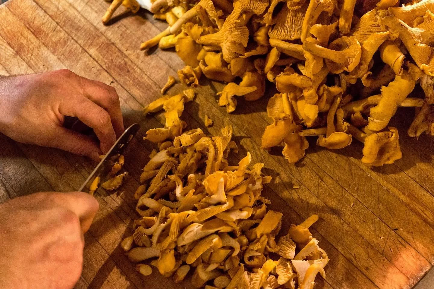 Gold in the Pacific Northwest