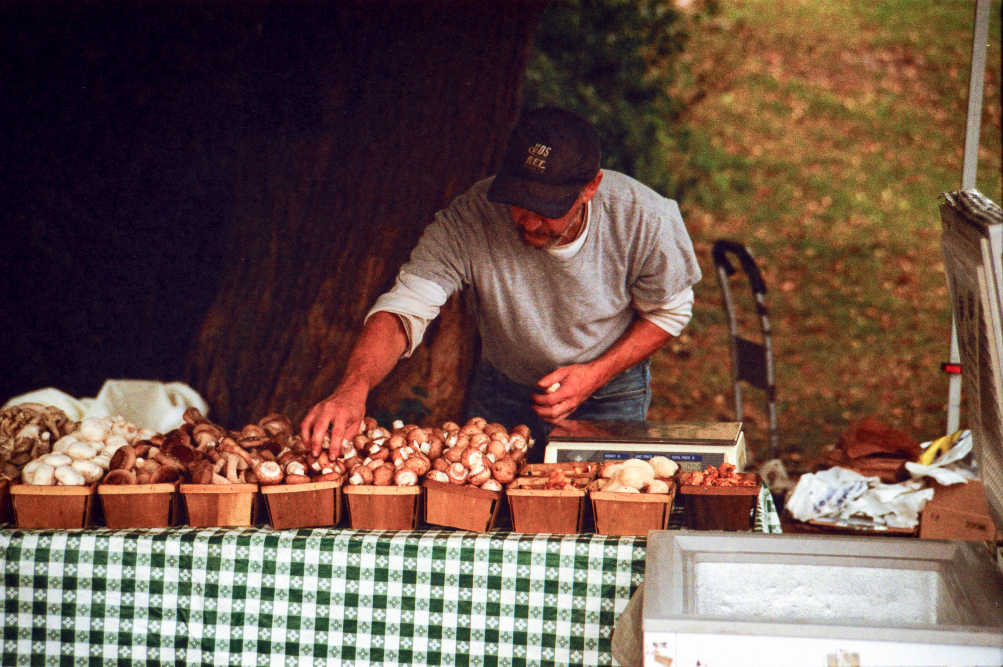 Mushroom Farmer.jpg