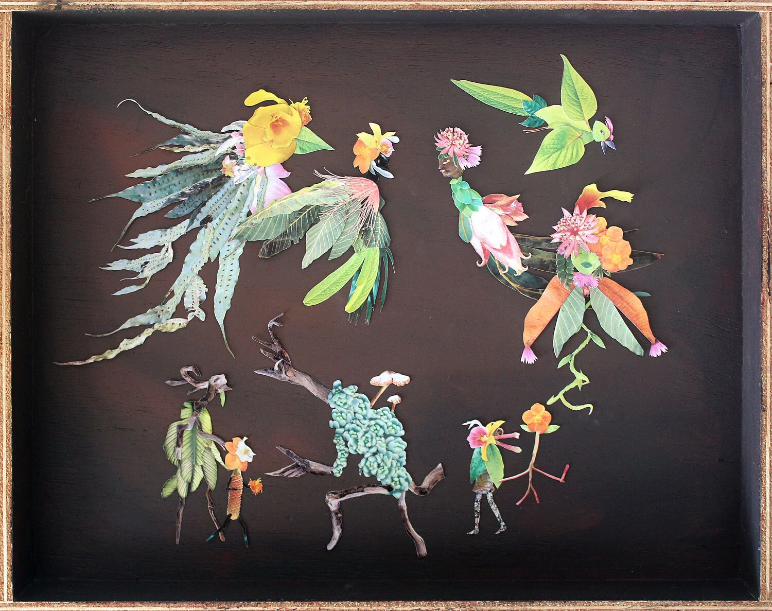 The Transplants: 1st Configuration Temporary collage in wooden box 2018-2019