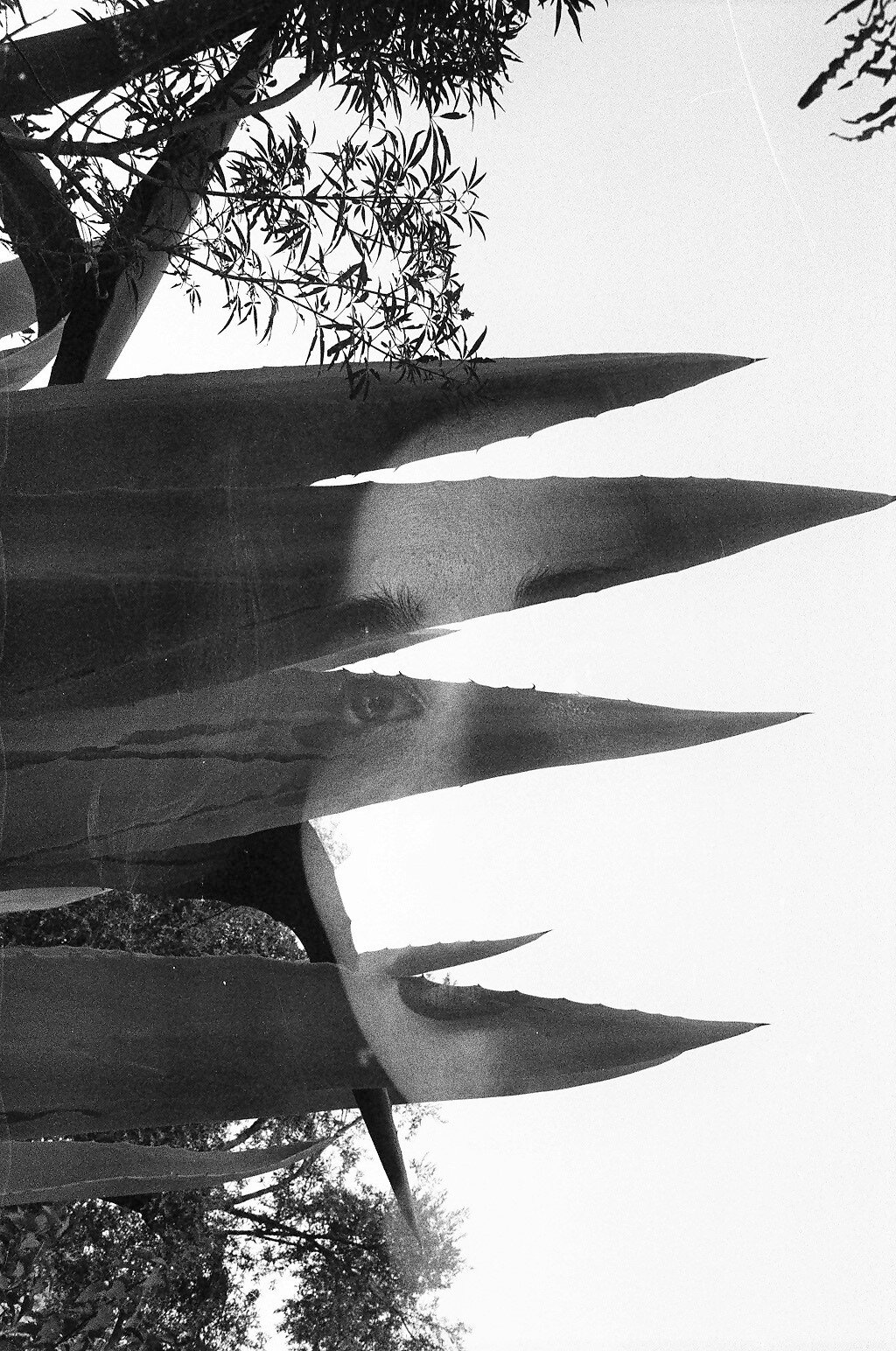 nadas 380.JPG