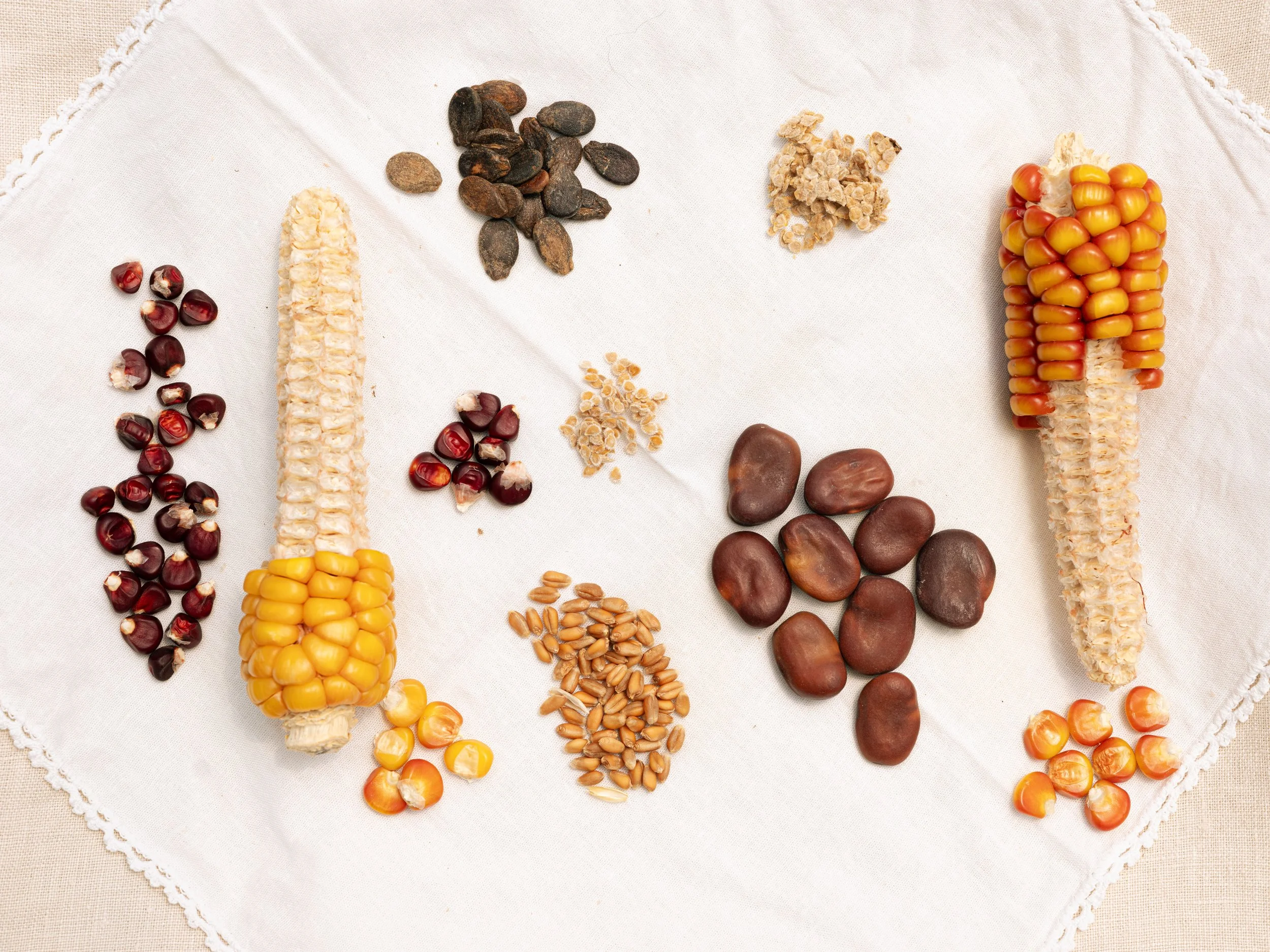 Seed Savers (Ori Magazine)