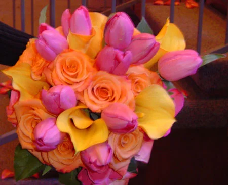 DSC00542.jpg