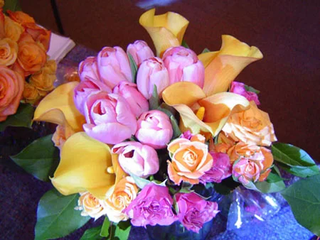 DSC00550.jpg