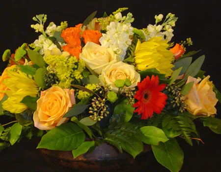 DSC00438.jpg