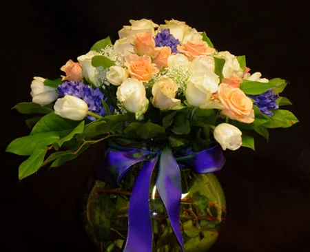 DSC00458.jpg