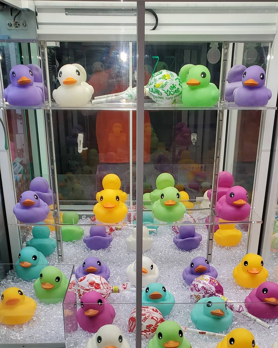 Got all your ducks in a row? Come and try to win a duck from our claw machine!