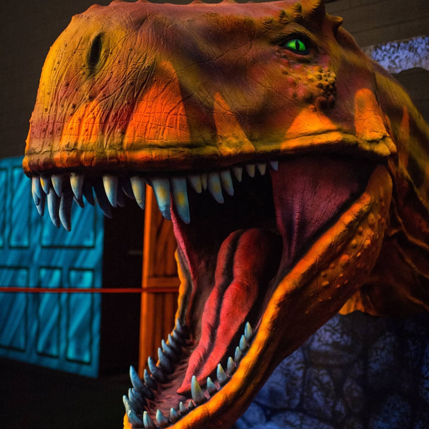 Have your Birthday party at Jurassic Golf! Call Stefanie at 410-836-8635 or email me at jurassicgolf842@comcast.net.

  #golf #minigolf #jurassic #18holes #dinosaur #prehistoric #family #fun #arcade #games #jurassicpark #harfordcounty #harford #belai