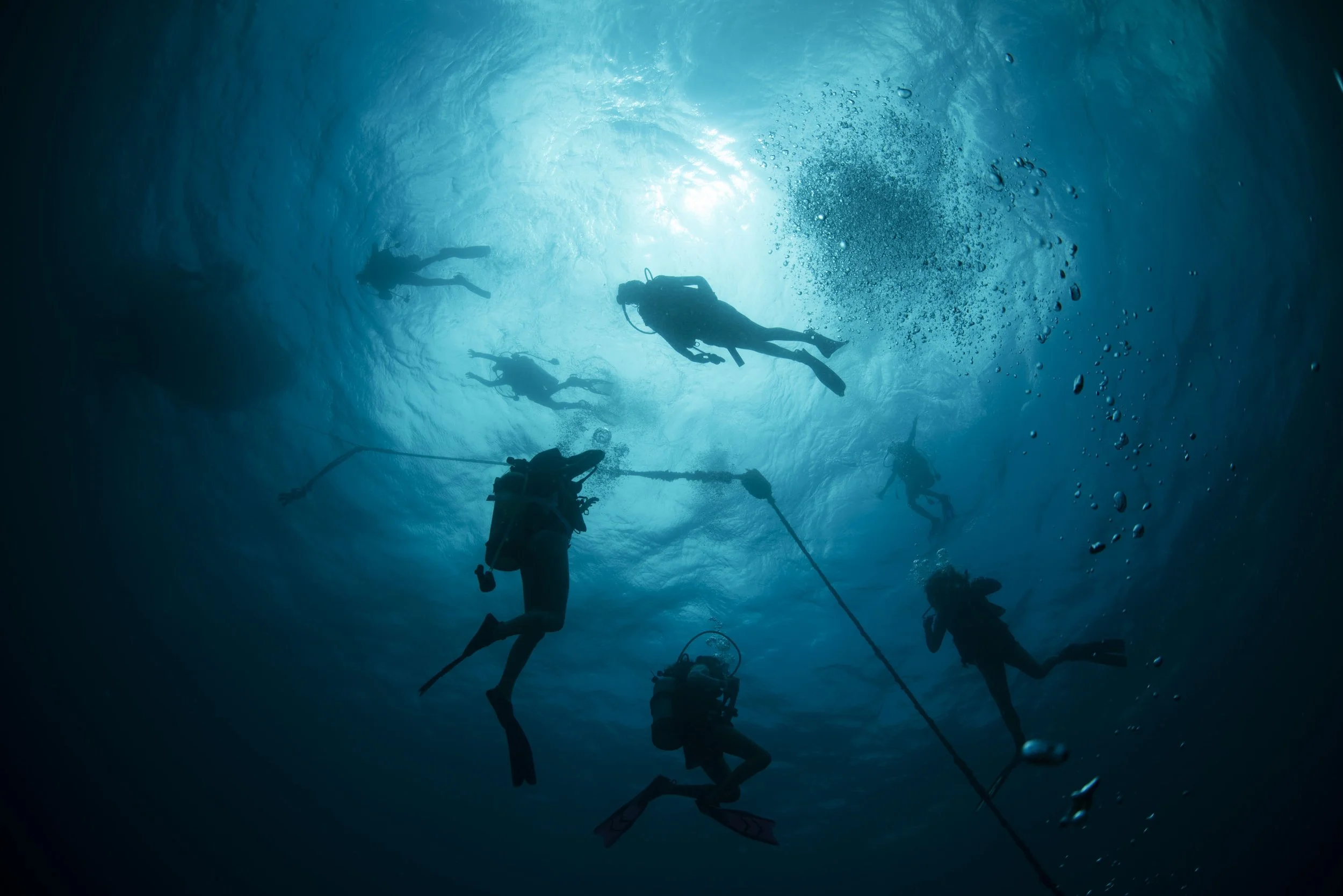  Scuba diving students with a program called ActionQuest complete a certification dive at the Playgrounds in Green Cay, British Virgin Islands, on Wednesday, July 21, 2021. Tourism plays a big part in the economy. COVID-19 caused many people to be ou