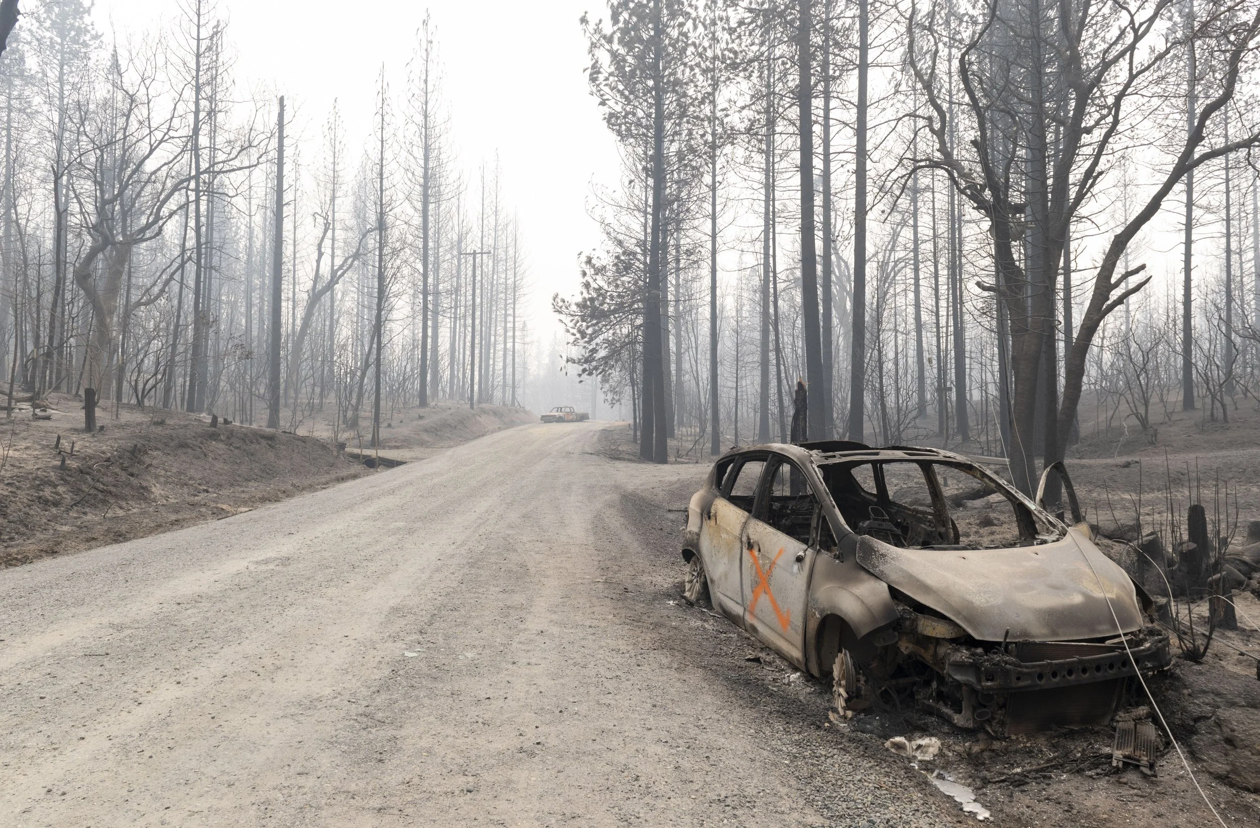 AS_bearfire_092.JPG