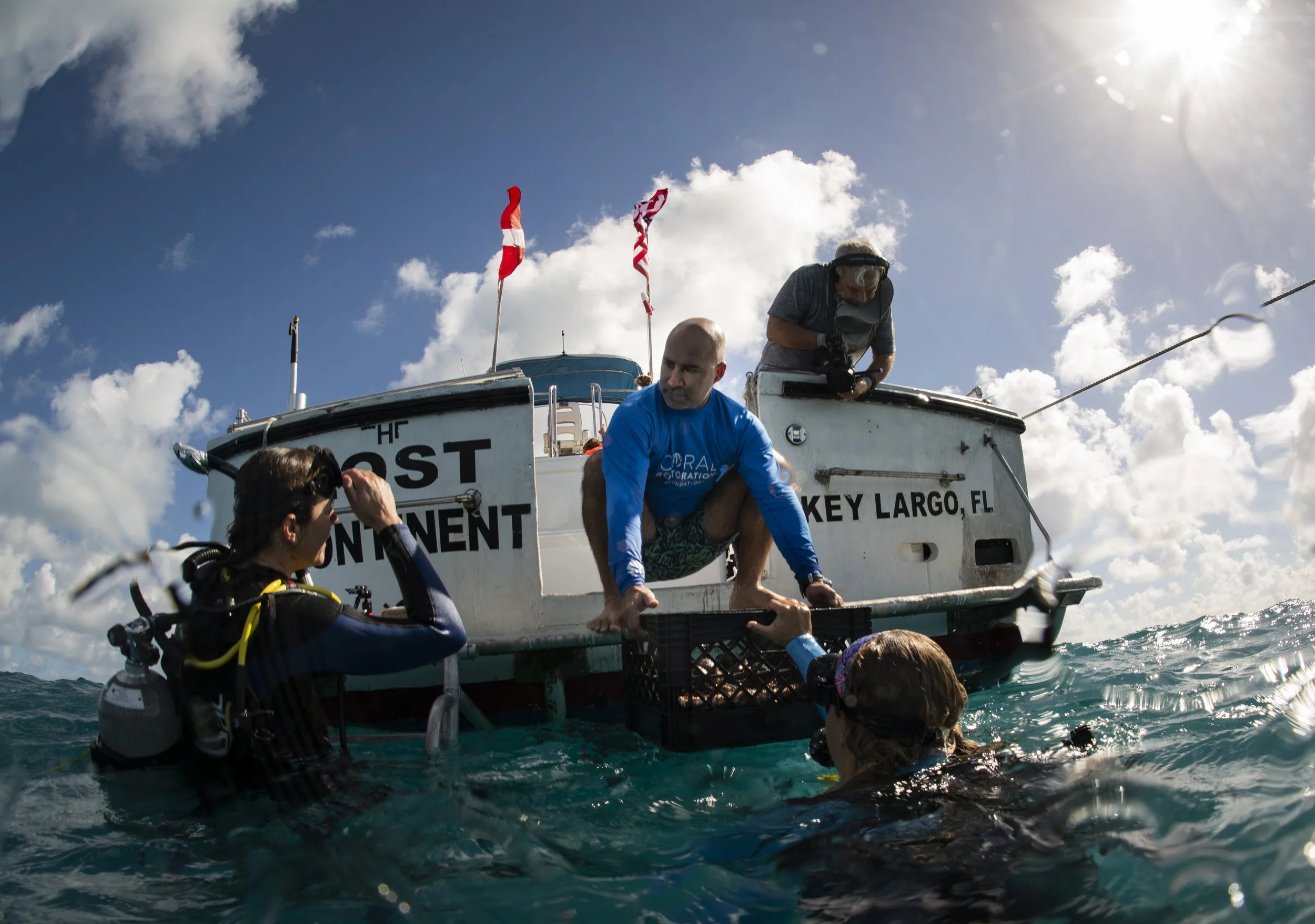  Dr. Phanor Montoya-Maya, center, lowers a tray of coral fragments into the hands of Coral Restoration Foundation staff member on Nov. 20, 2023, off of the coast of Tavernier in the Florida Keys.  These coral fragments were taken out of the nursery t