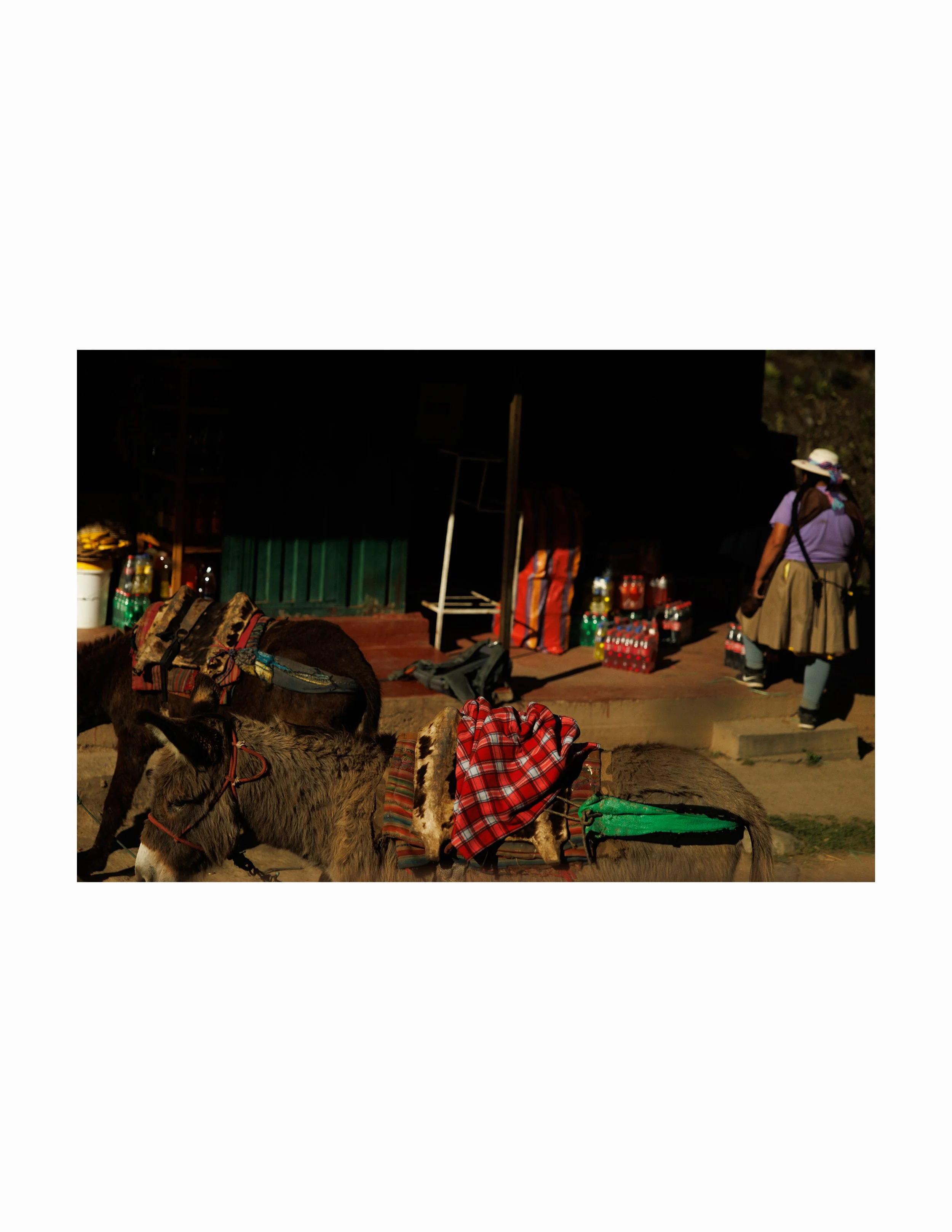 peru donkeys 8x12 .jpg