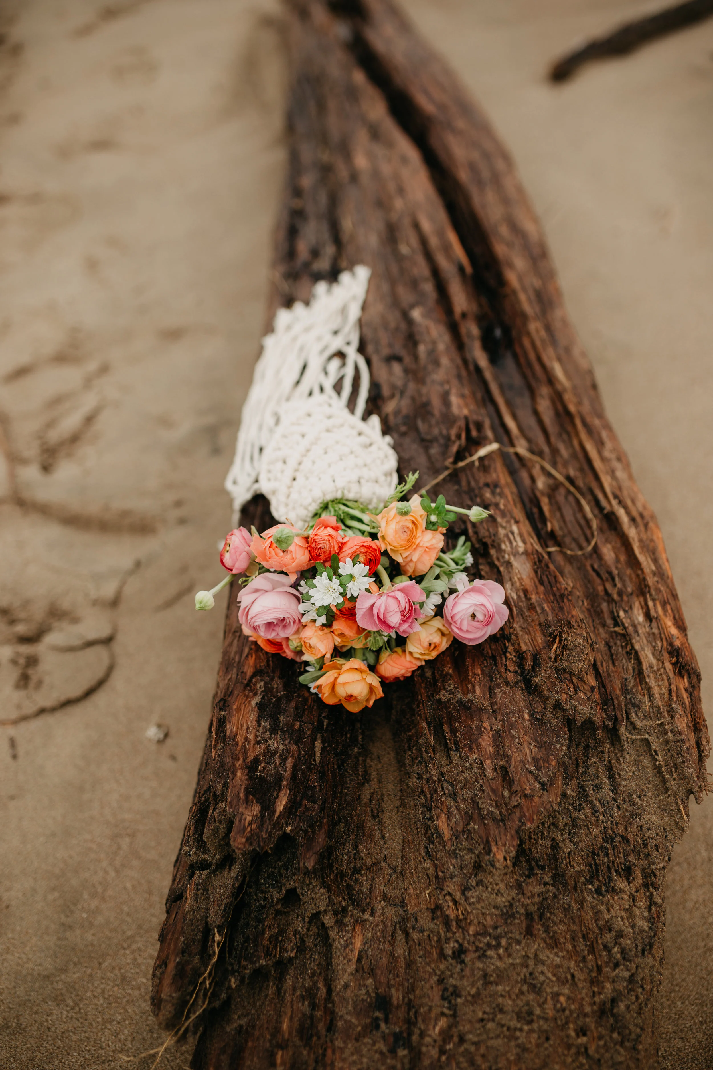 CoosBay-54.jpg